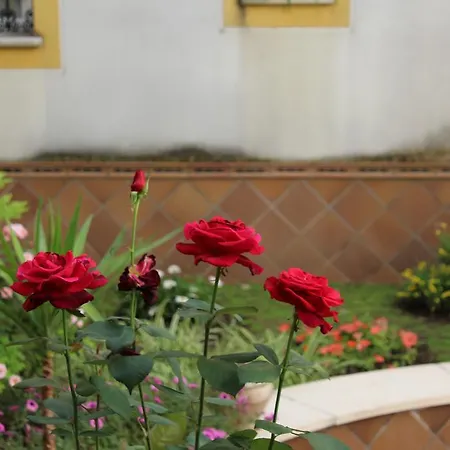 Apartment Jardin De La Ribera.